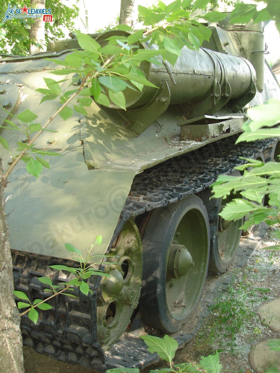 67.jpg