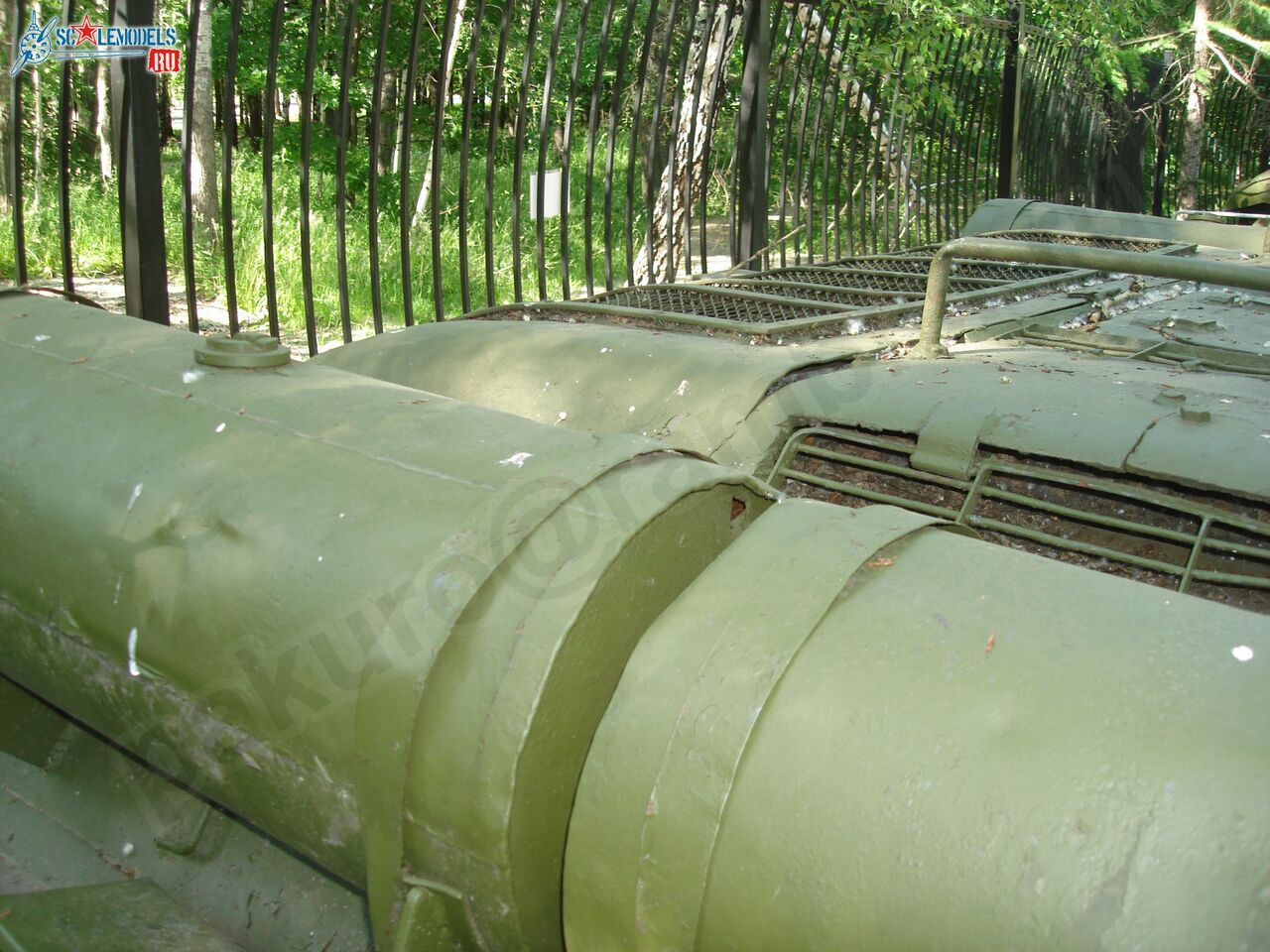 74.jpg