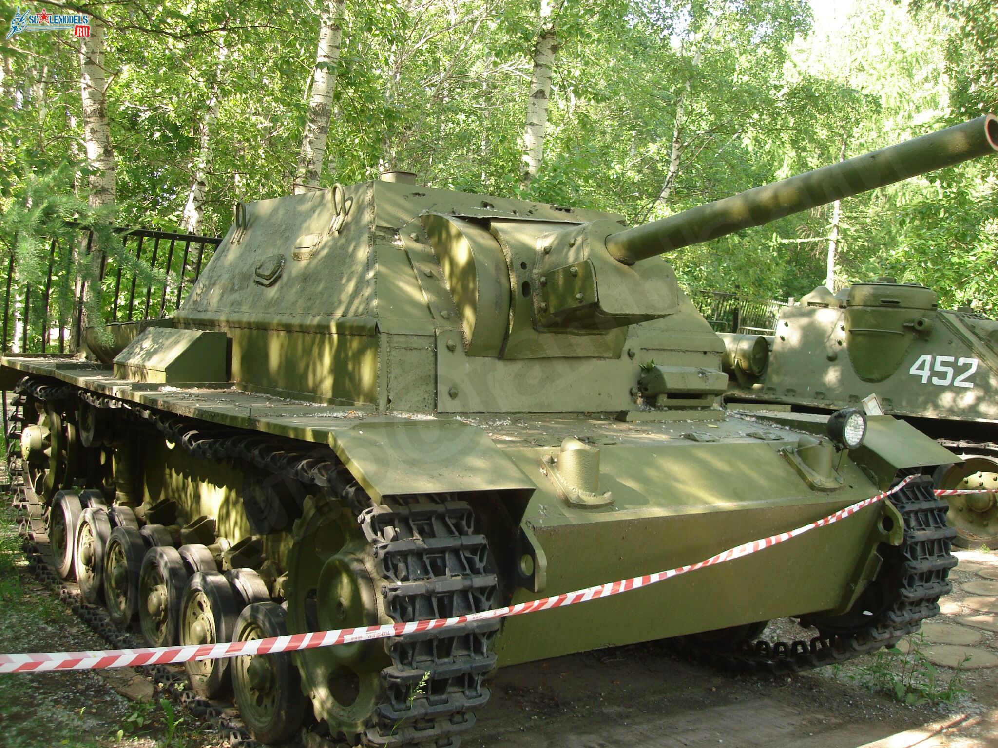 85.jpg