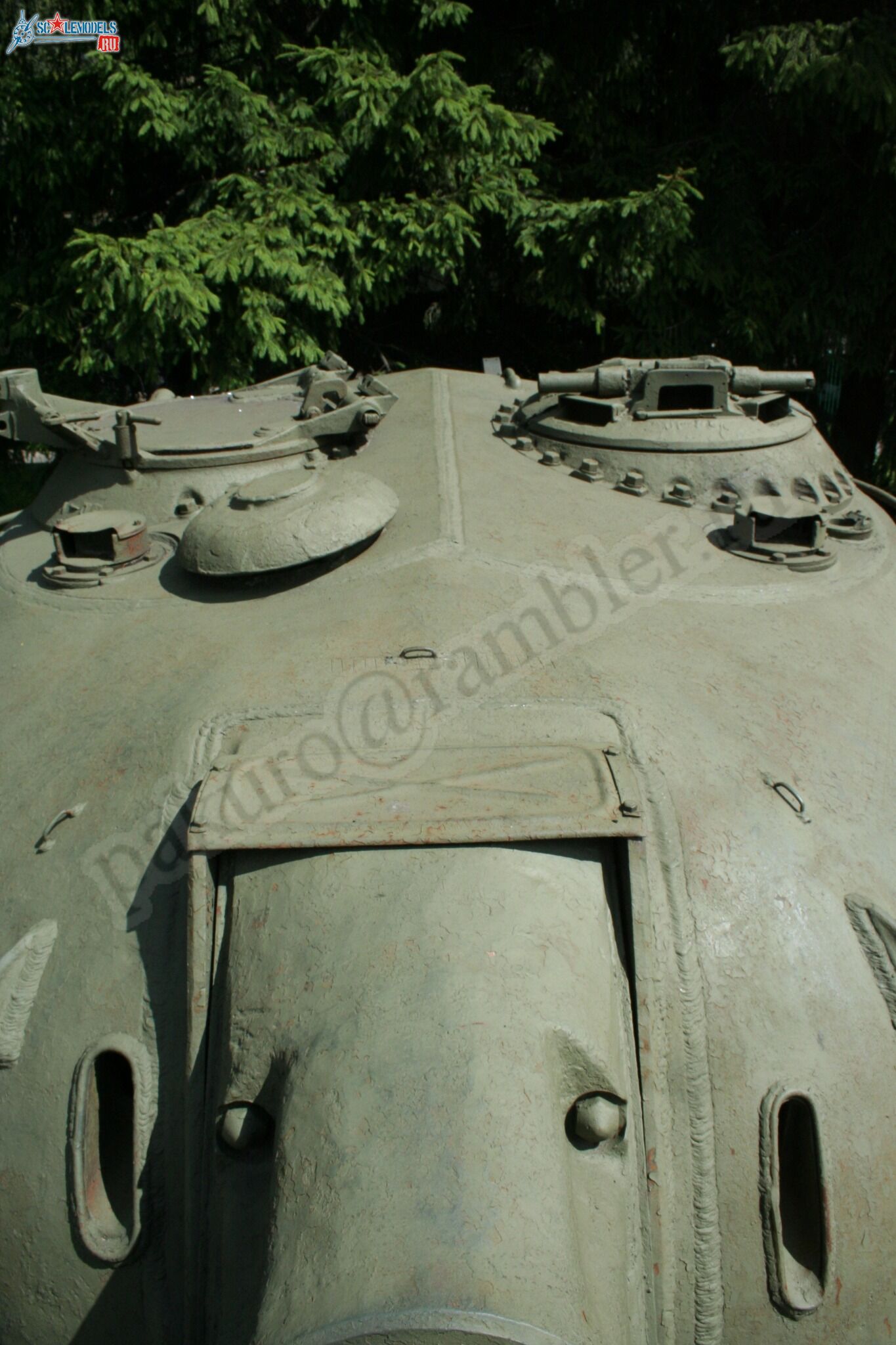 136.jpg