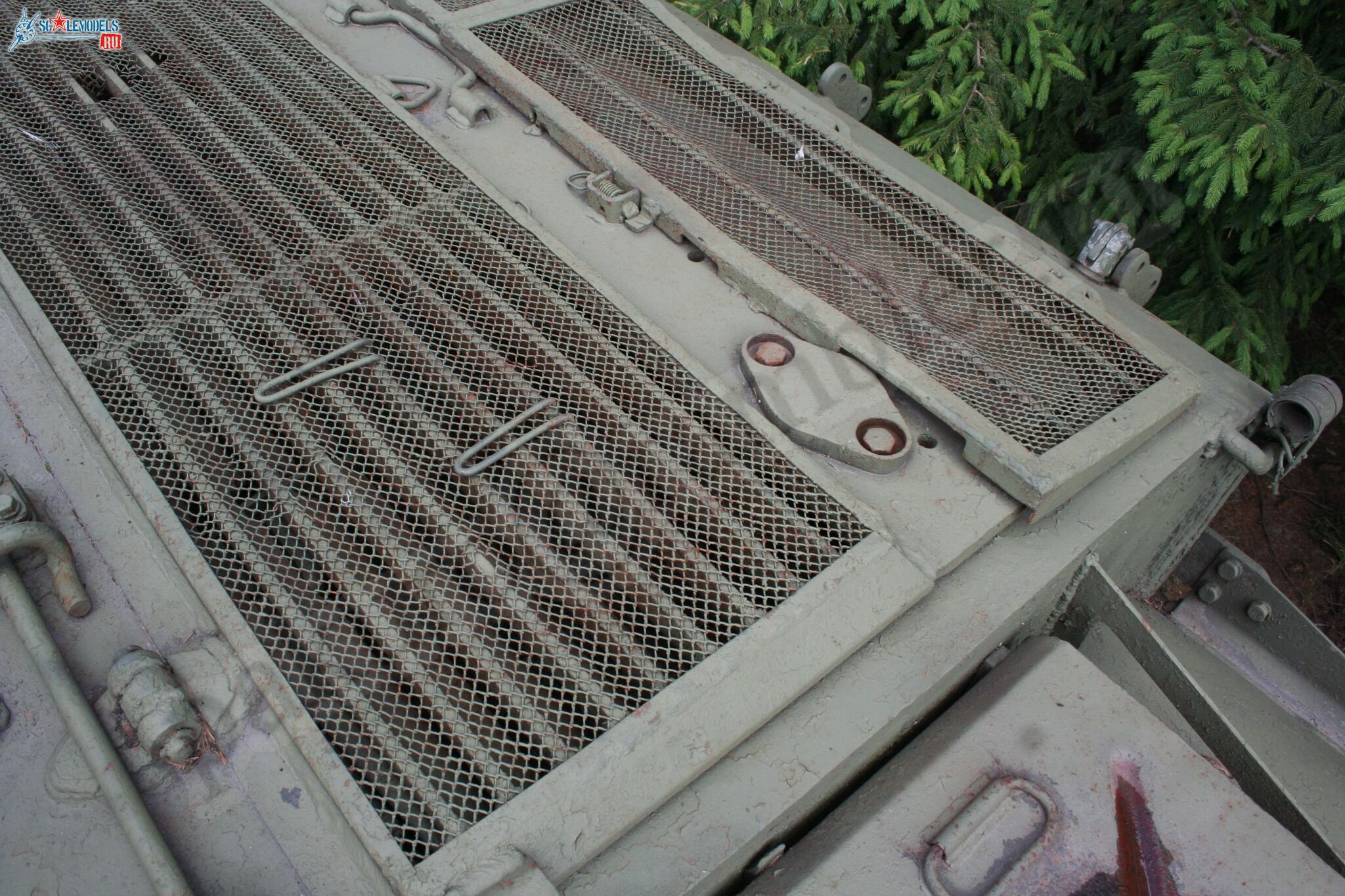 173.jpg