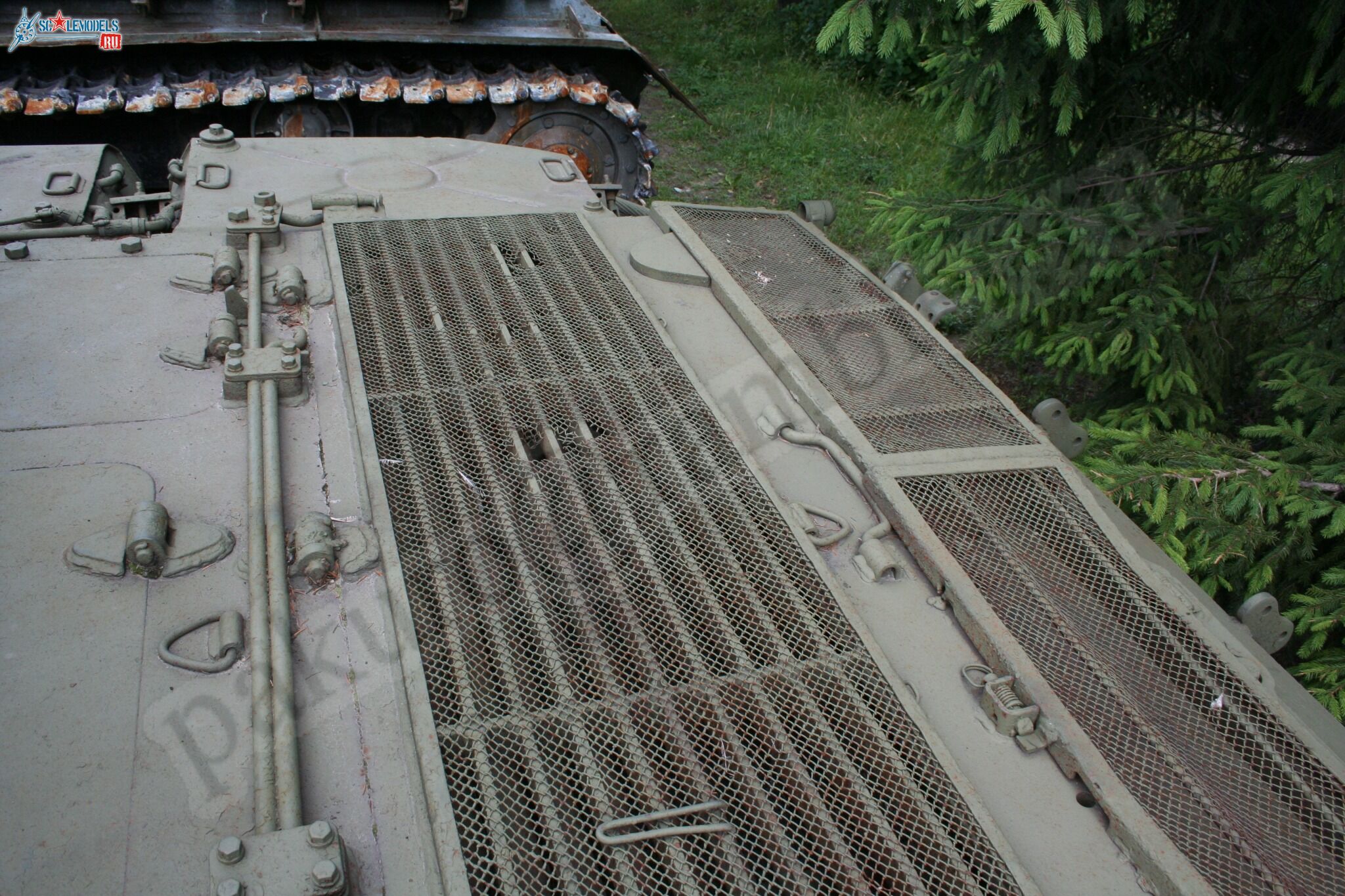 175.jpg