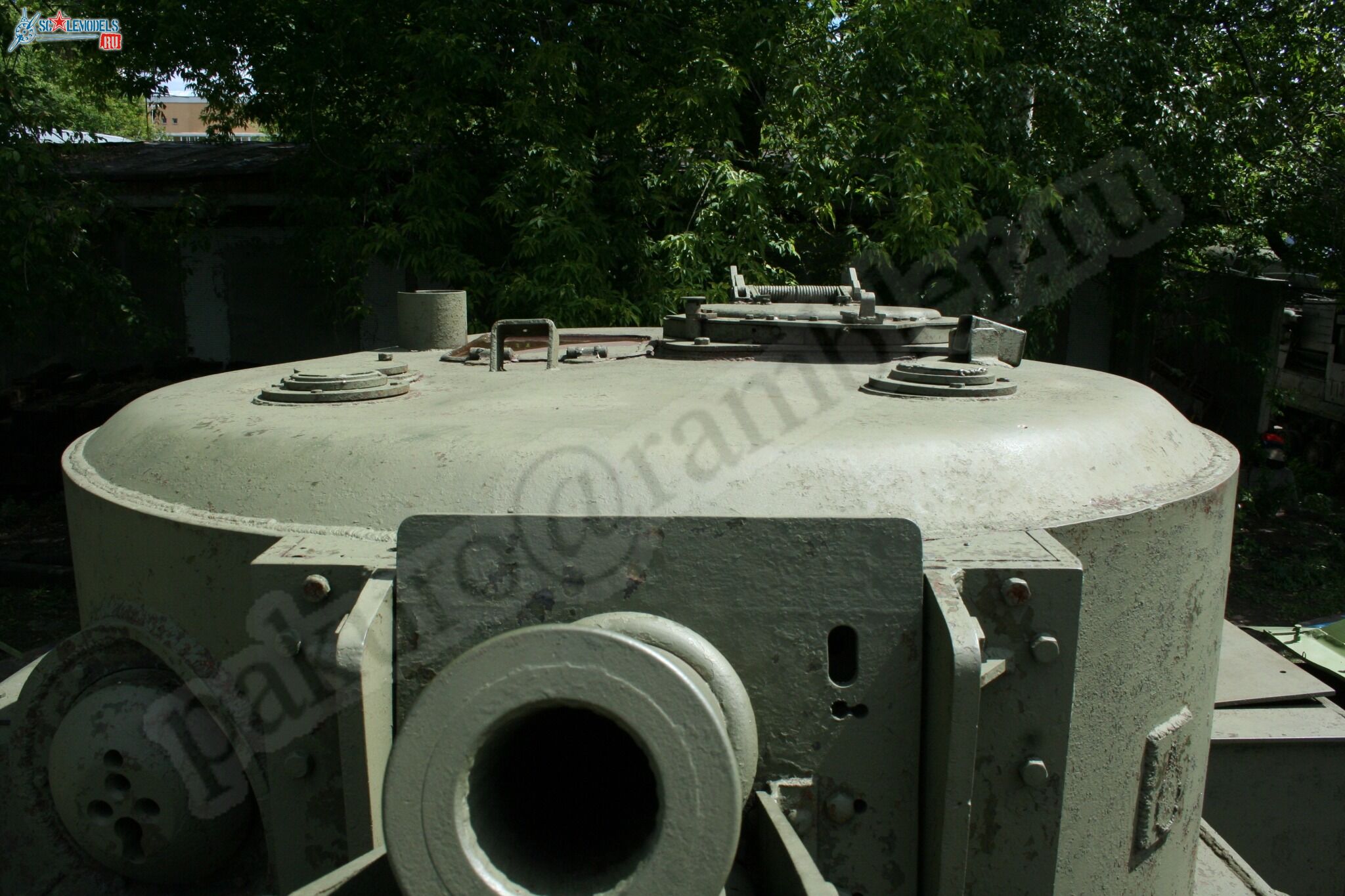196.jpg