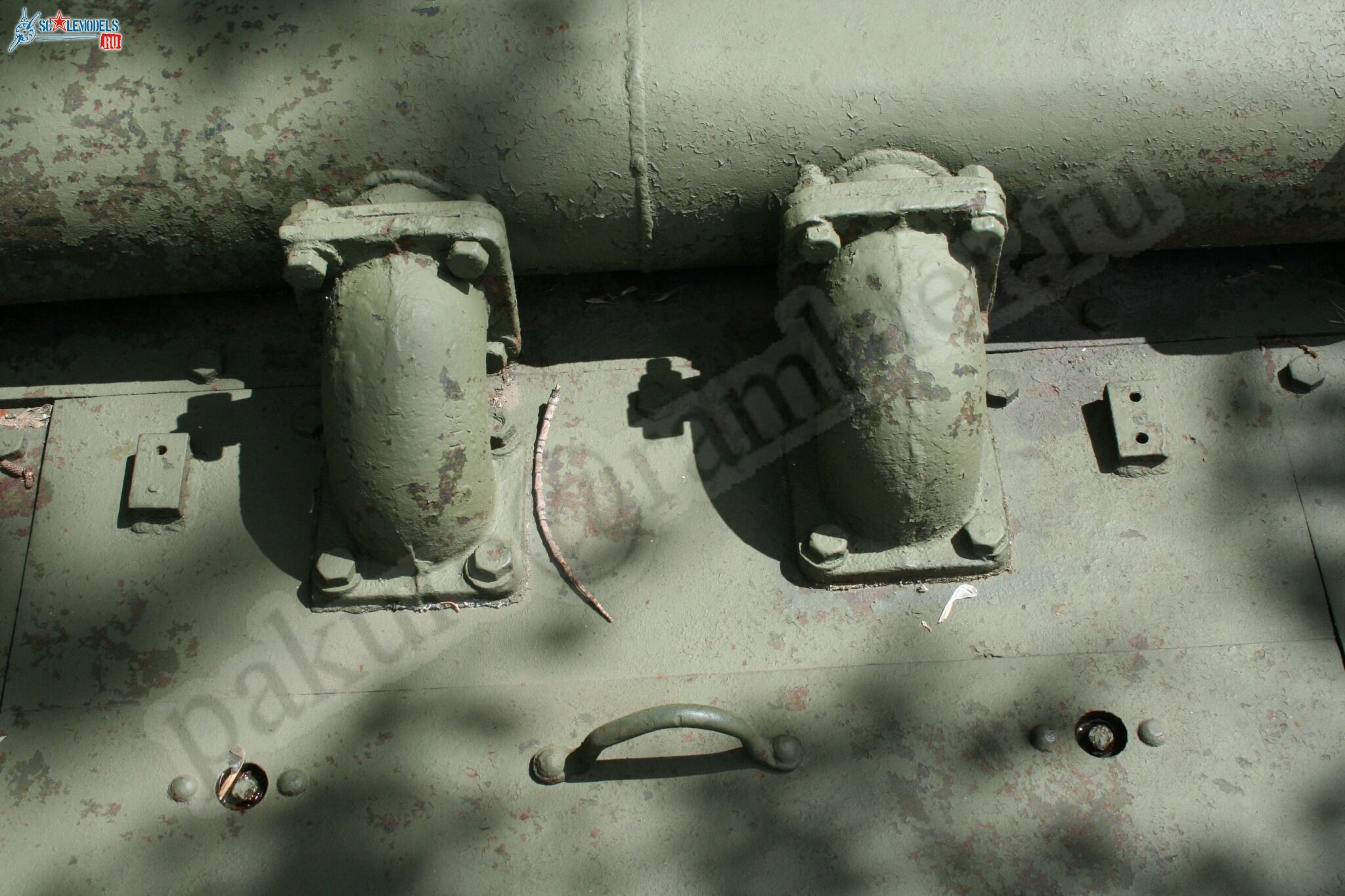 224.jpg