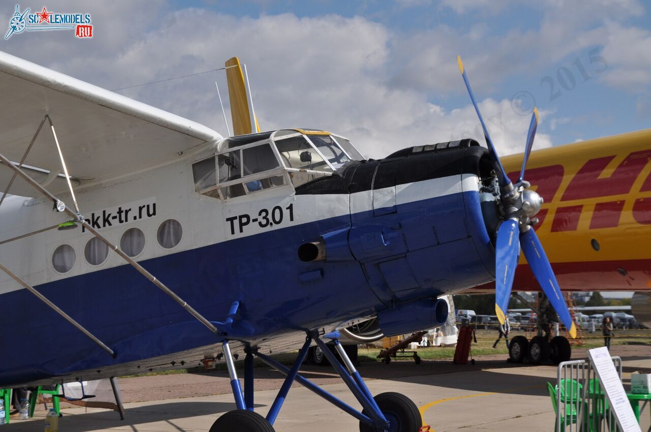TR-301_RA-4072810.jpg