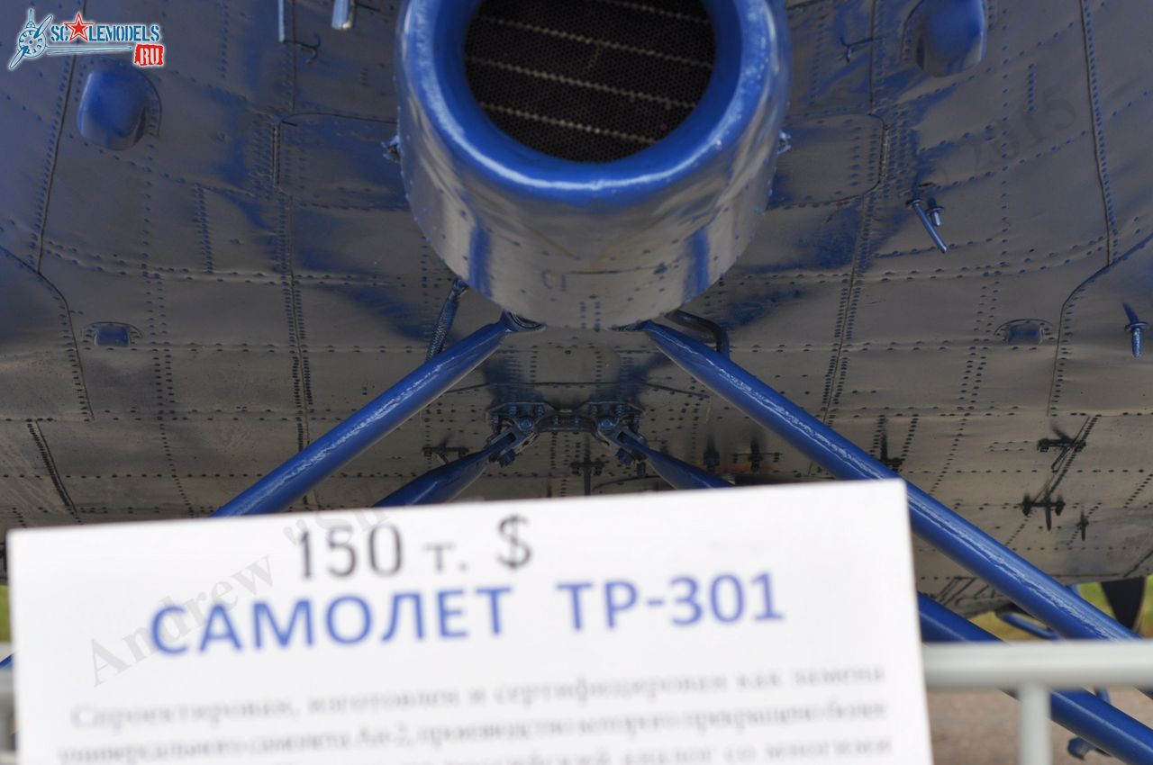 TR-301_RA-40728105.jpg