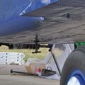 TR-301_RA-40728124.jpg