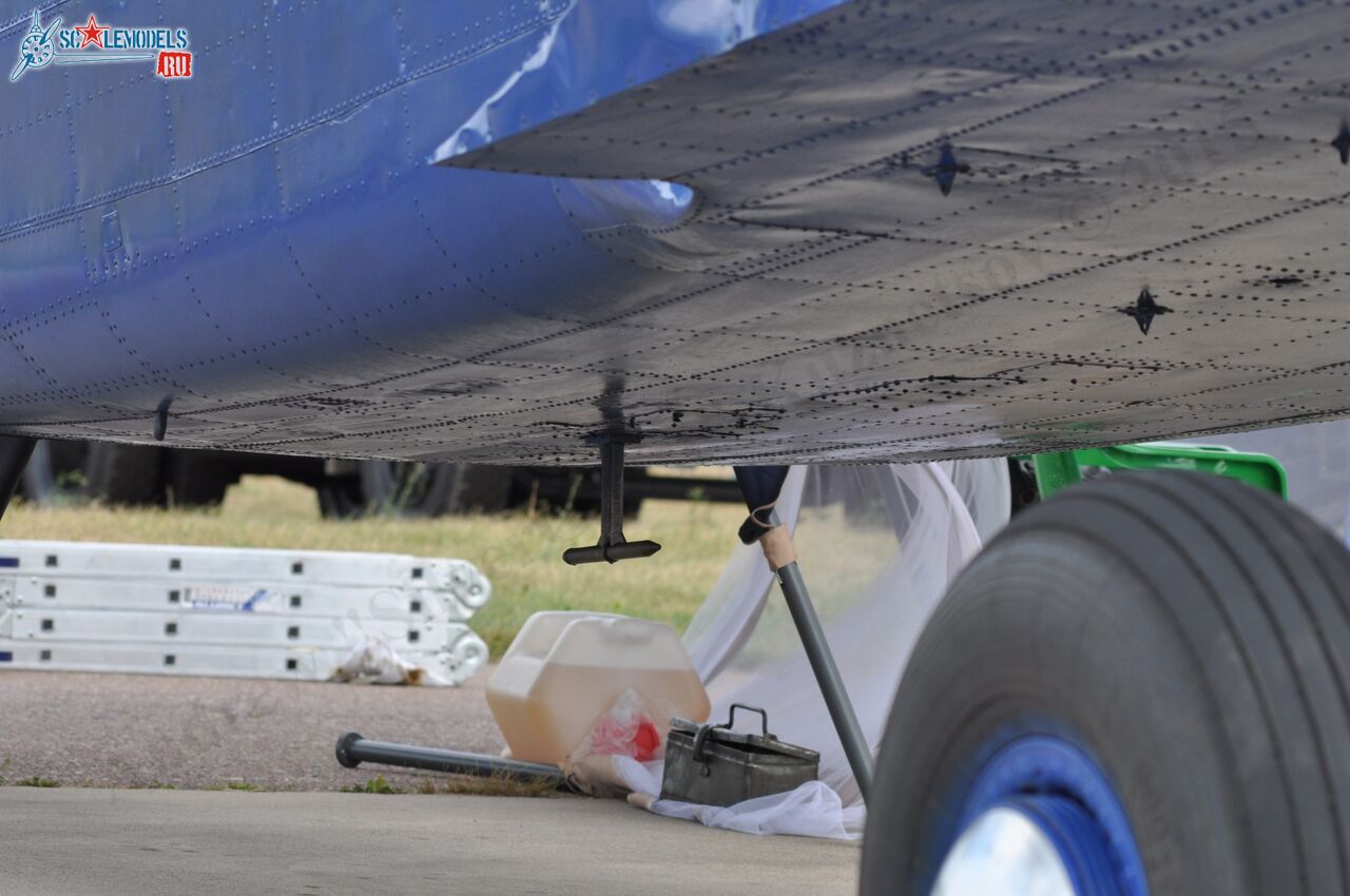 TR-301_RA-40728124.jpg