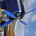 TR-301_RA-4072813.jpg