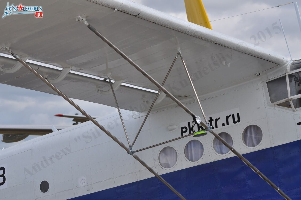 TR-301_RA-40728133.jpg