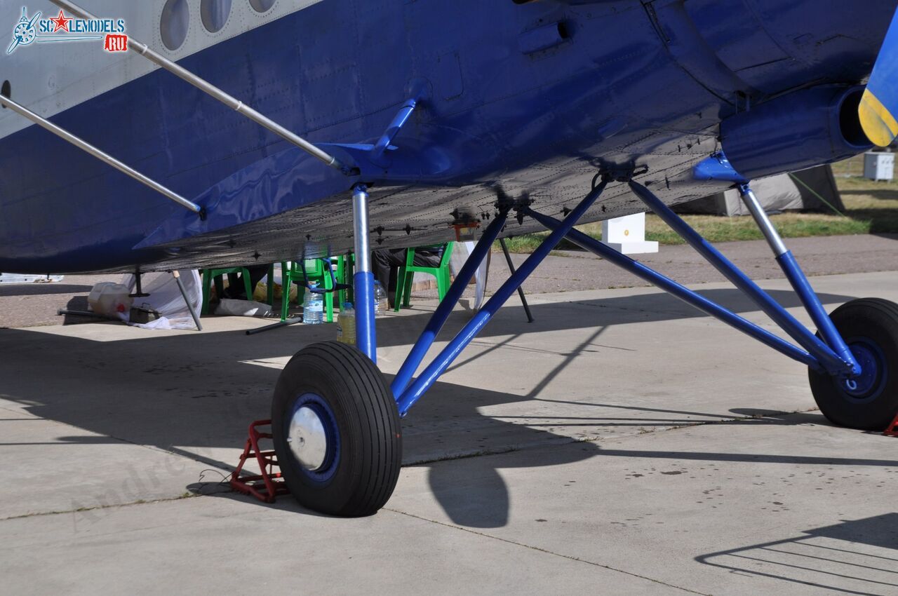 TR-301_RA-4072821.jpg