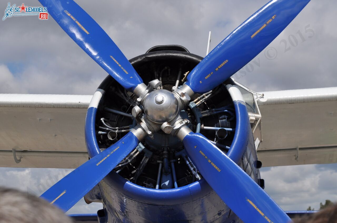 TR-301_RA-4072822.jpg