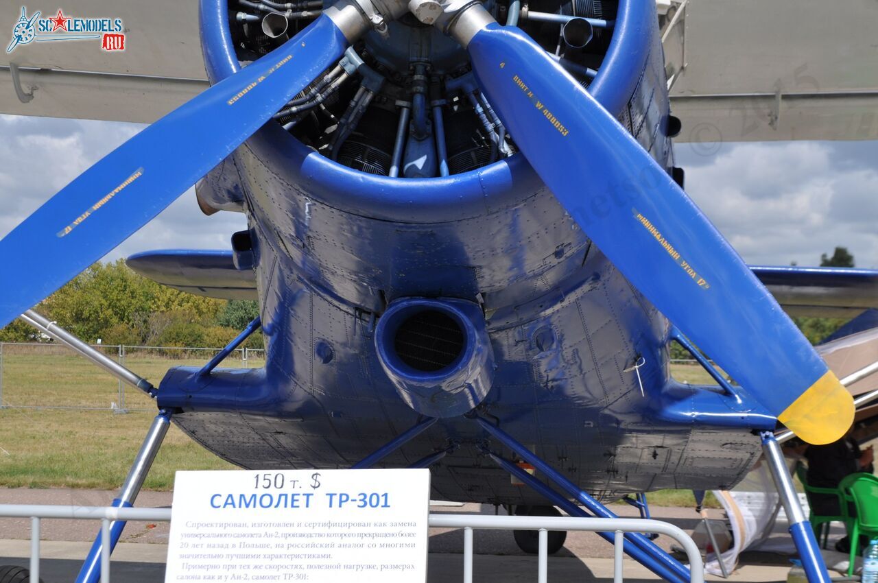 TR-301_RA-4072825.jpg