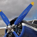TR-301_RA-4072827.jpg