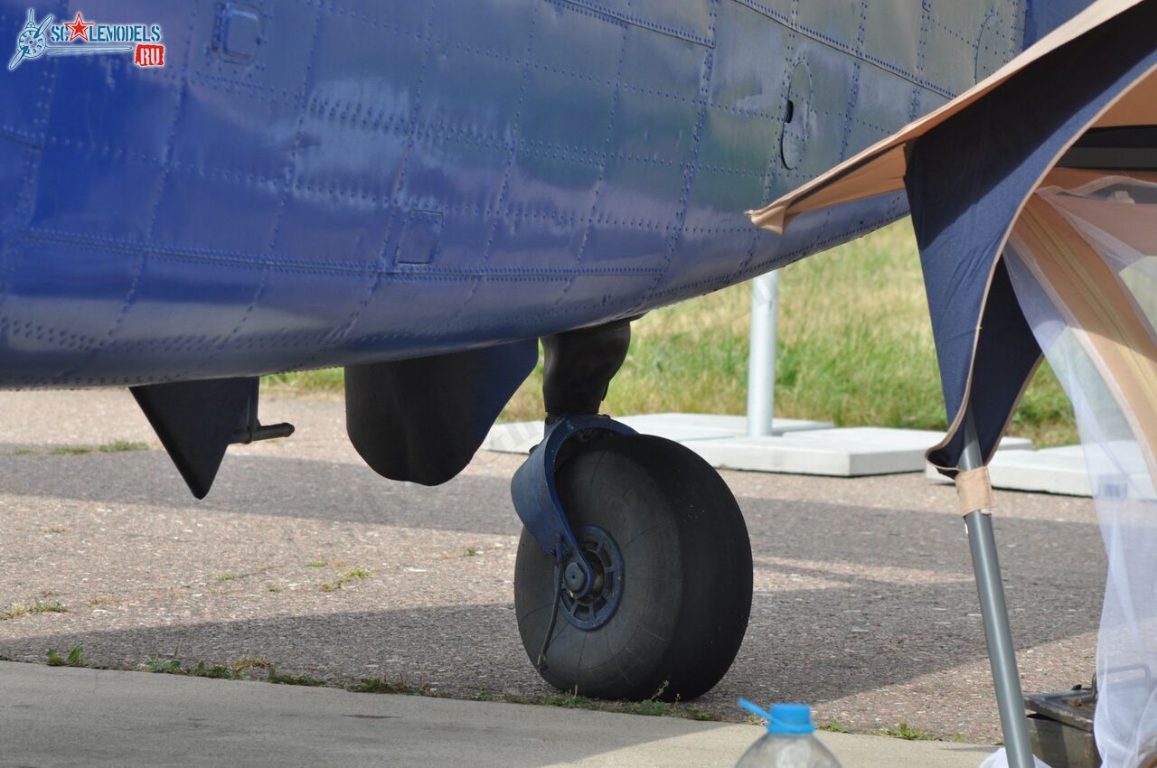 TR-301_RA-4072863.jpg