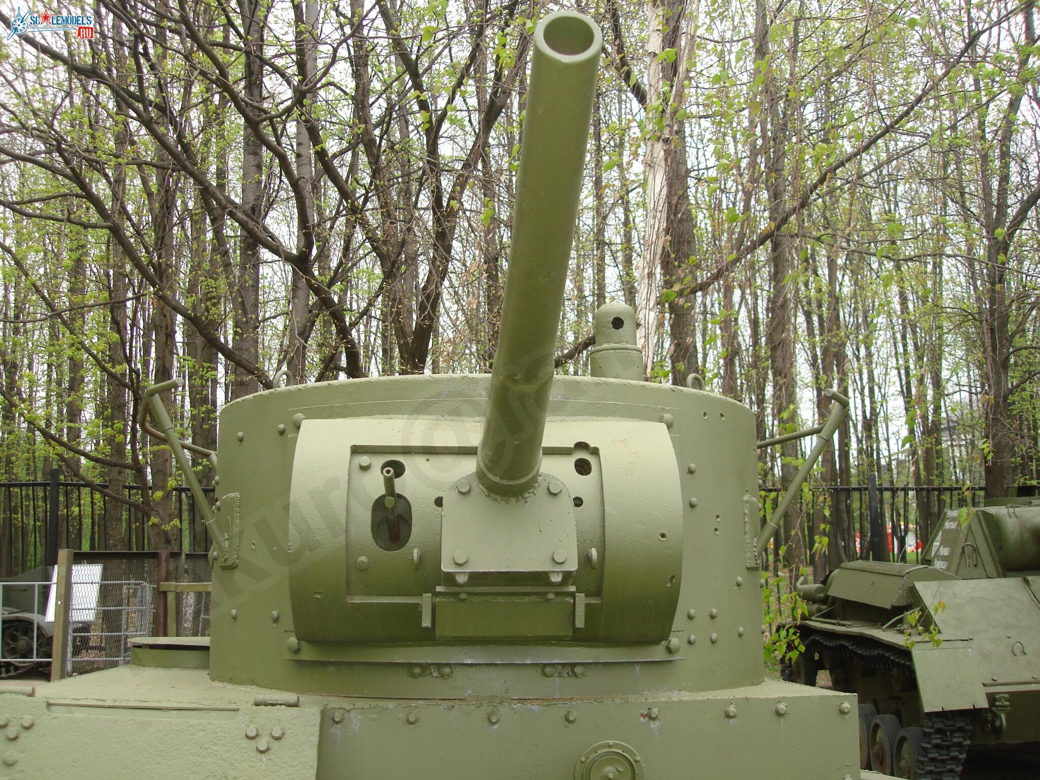 95.jpg