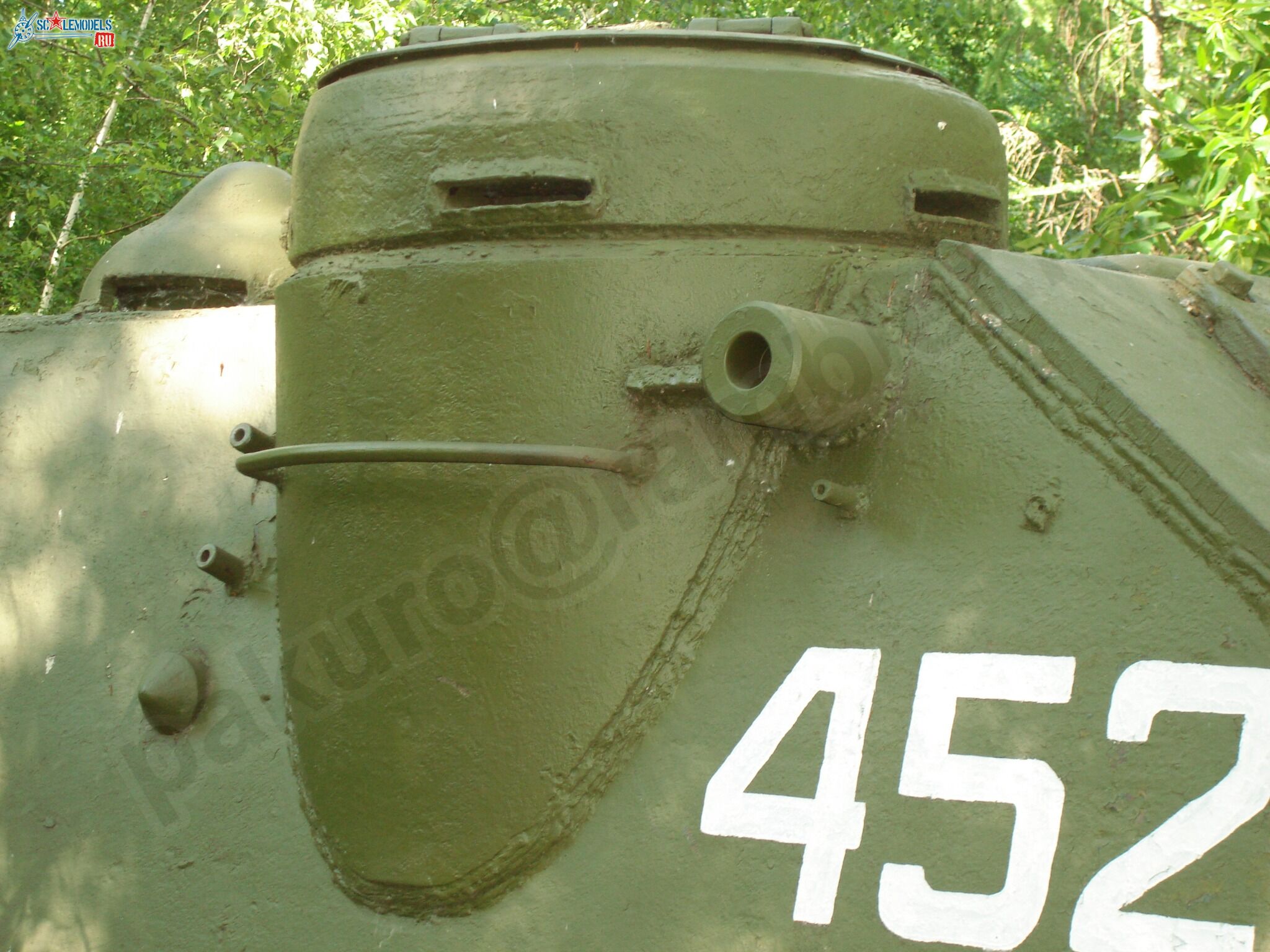 50.jpg