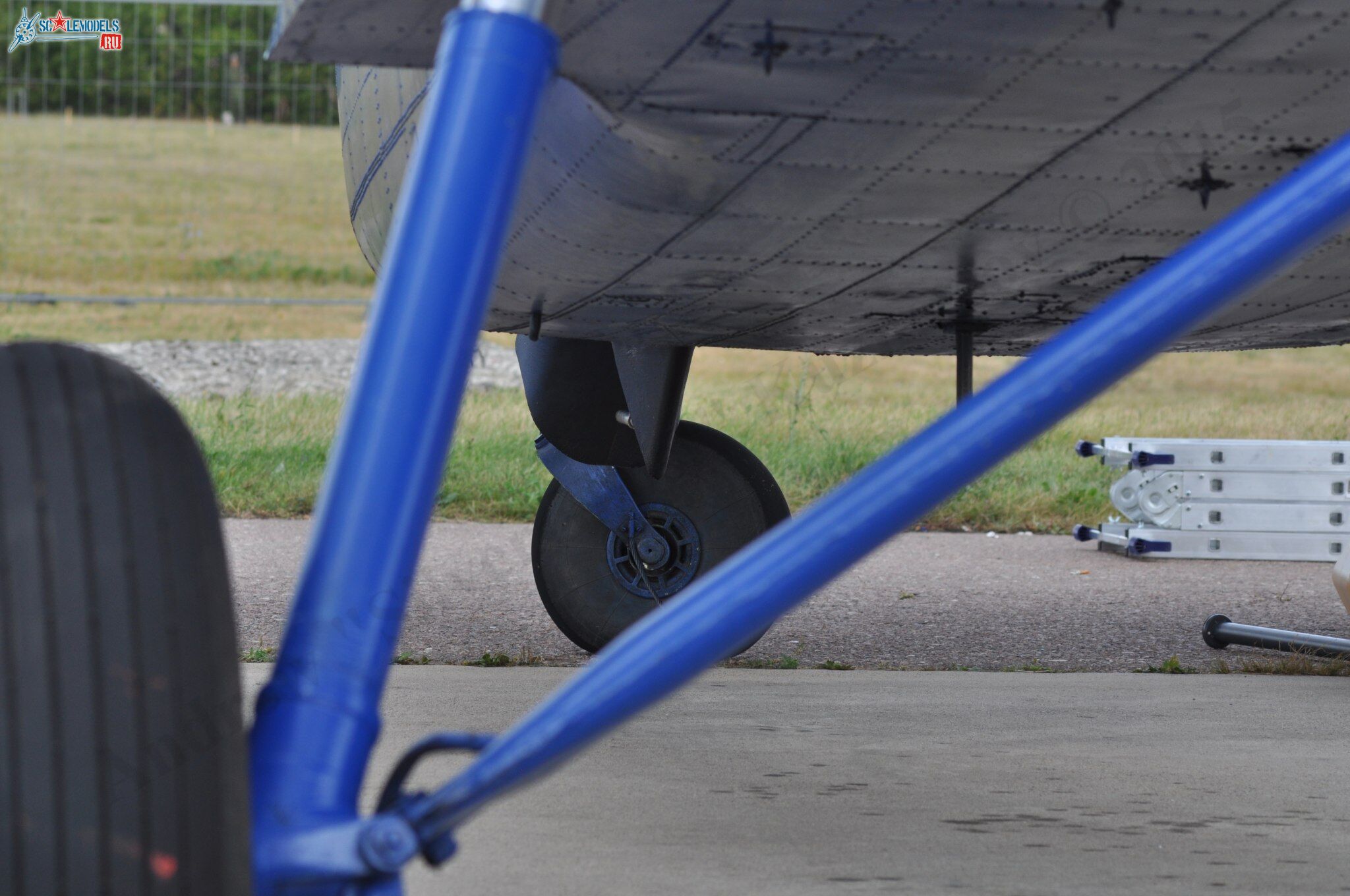 TR-301_RA-40728111.jpg