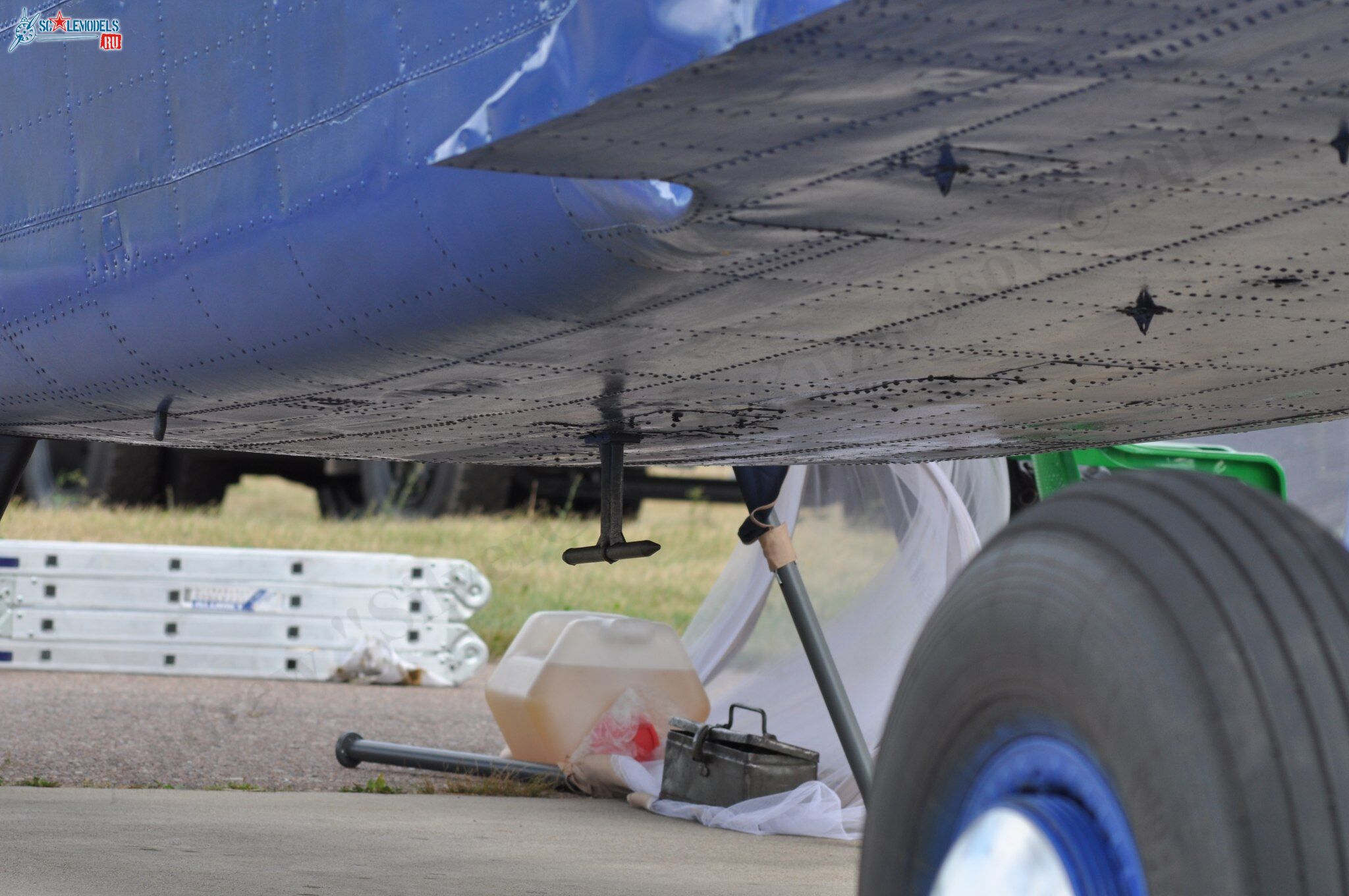 TR-301_RA-40728124.jpg