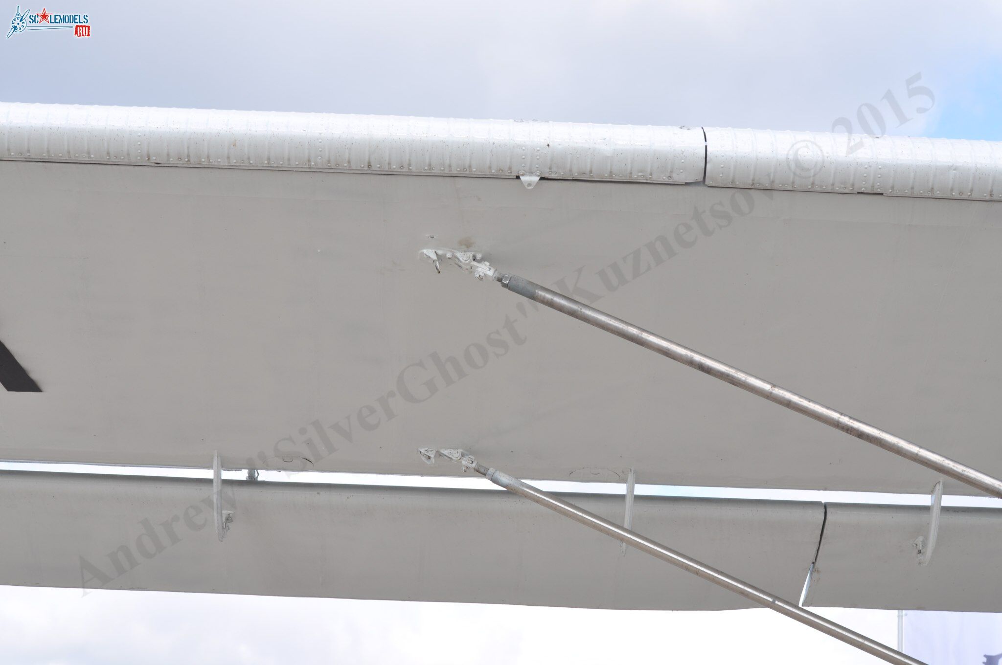 TR-301_RA-40728129.jpg