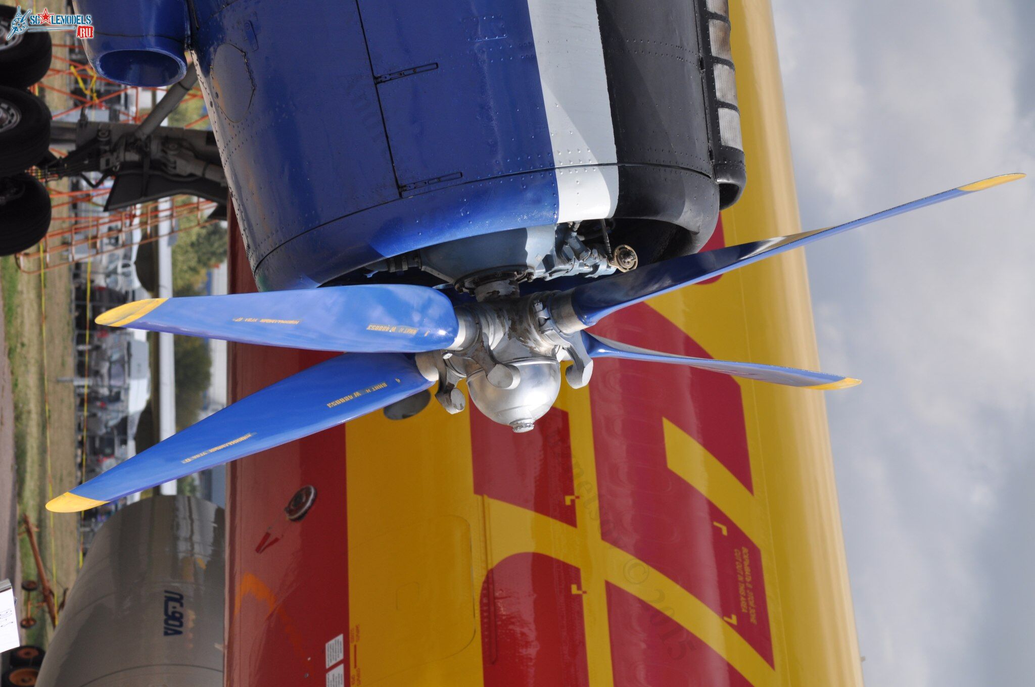 TR-301_RA-40728131.jpg
