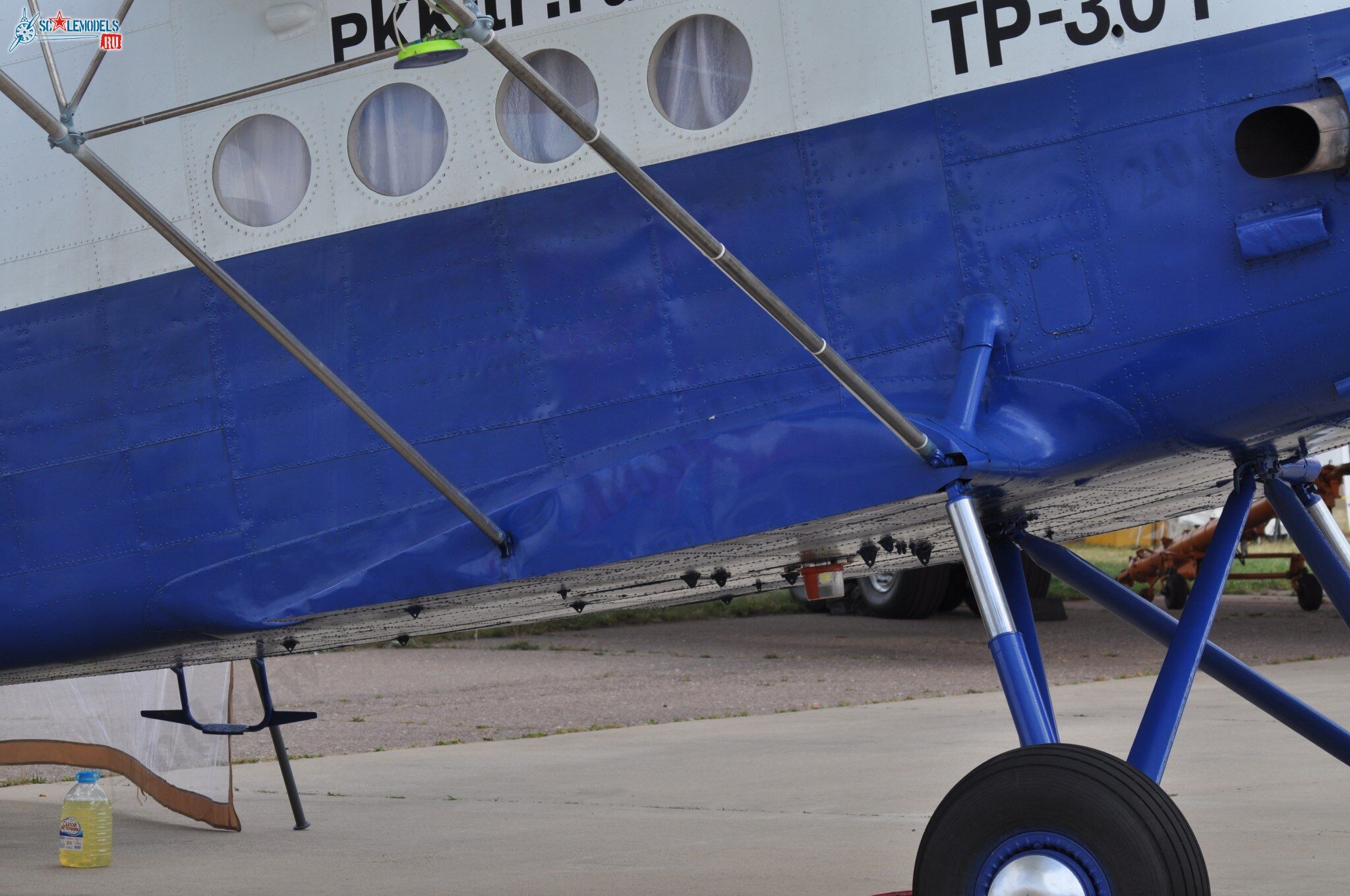 TR-301_RA-40728134.jpg