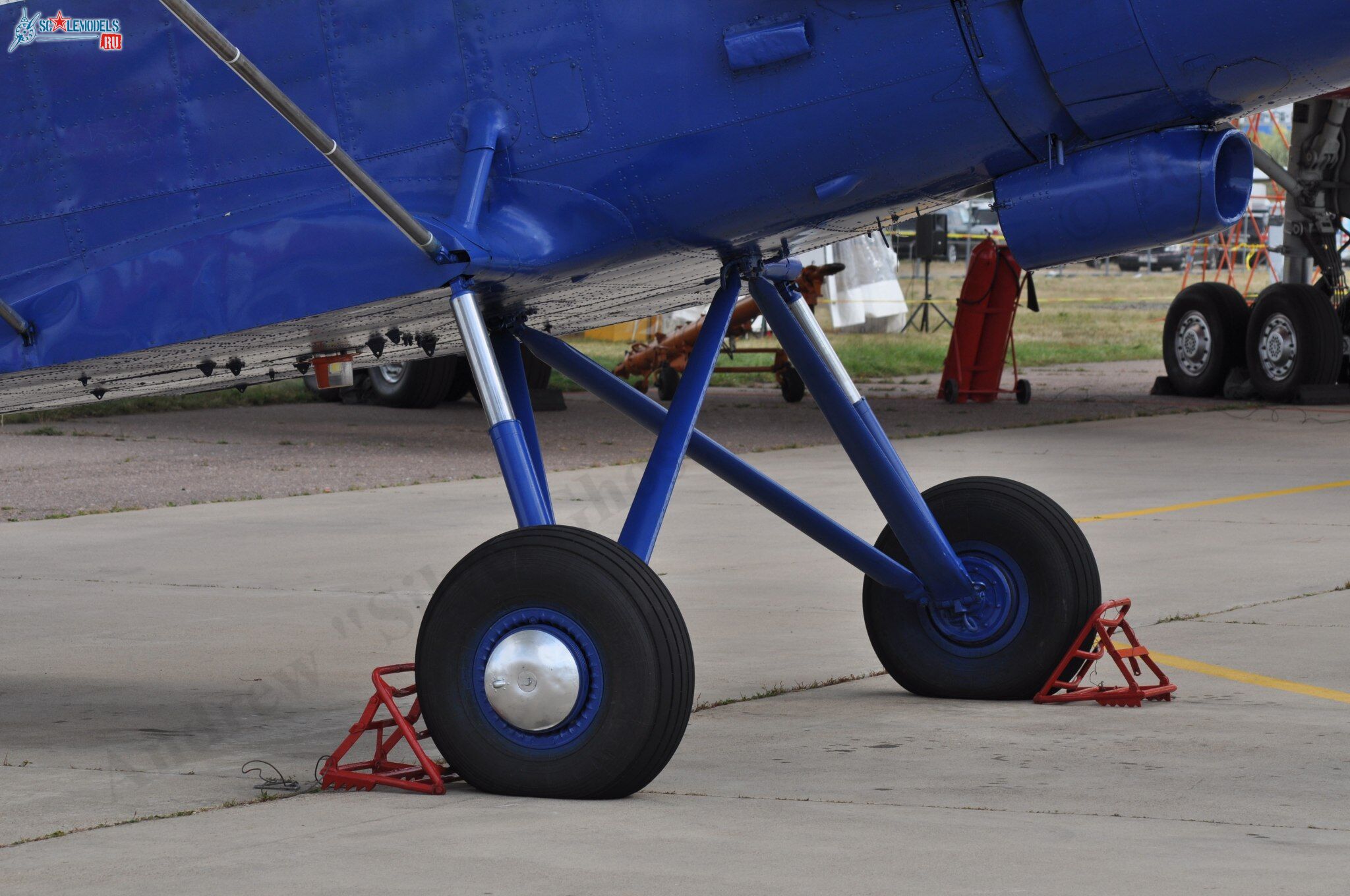 TR-301_RA-40728135.jpg