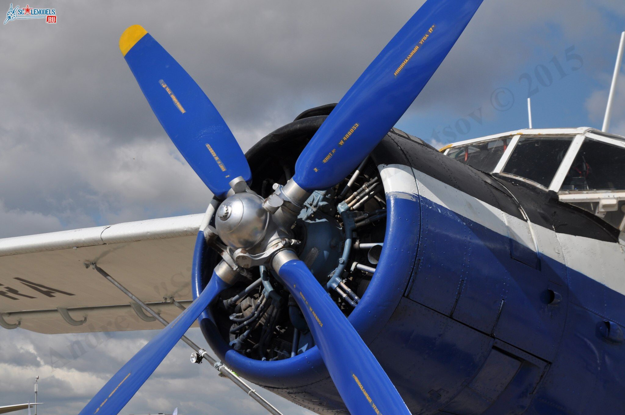 TR-301_RA-4072826.jpg