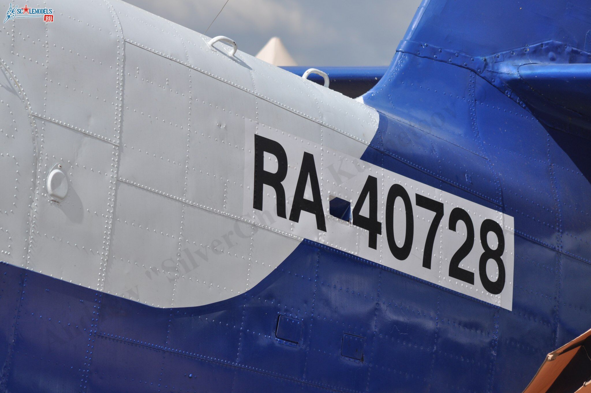 TR-301_RA-4072850.jpg