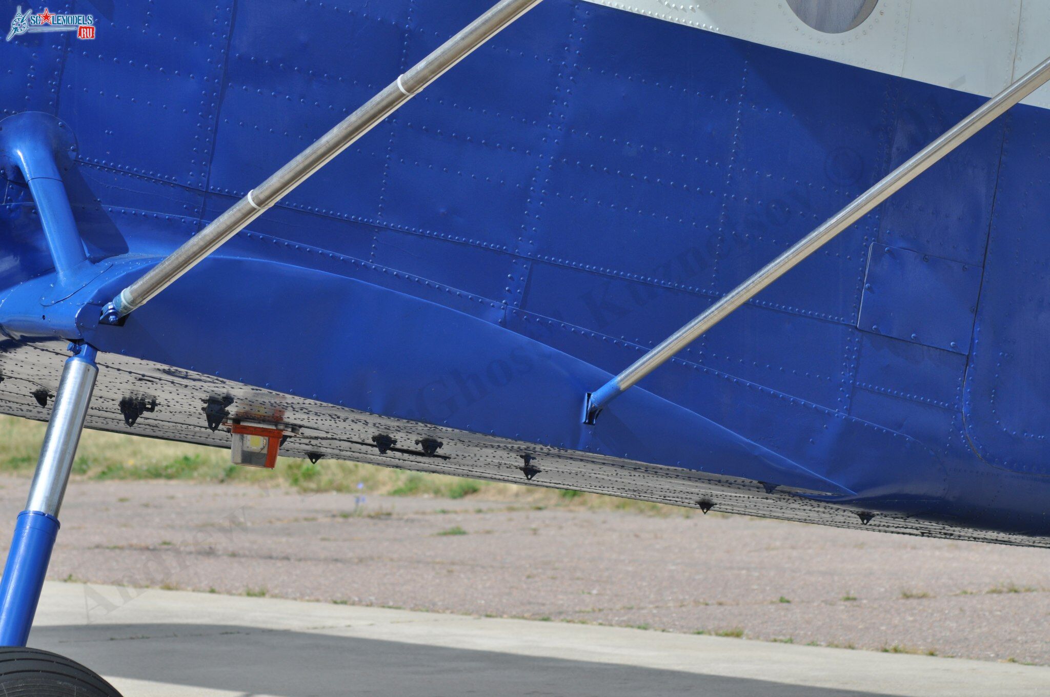 TR-301_RA-4072857.jpg