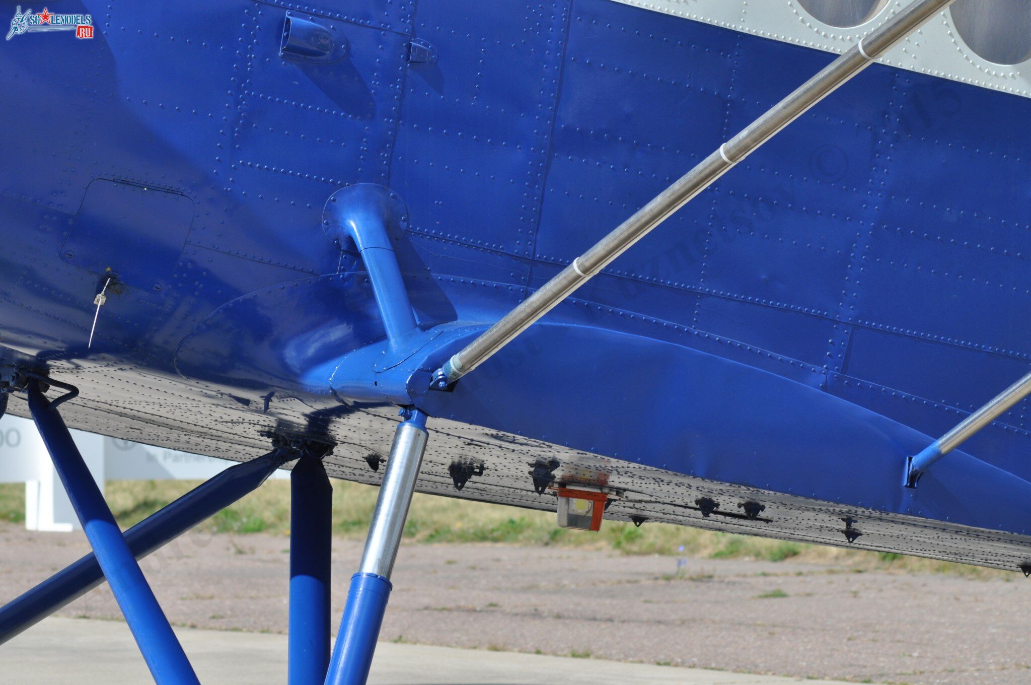 TR-301_RA-4072858.jpg