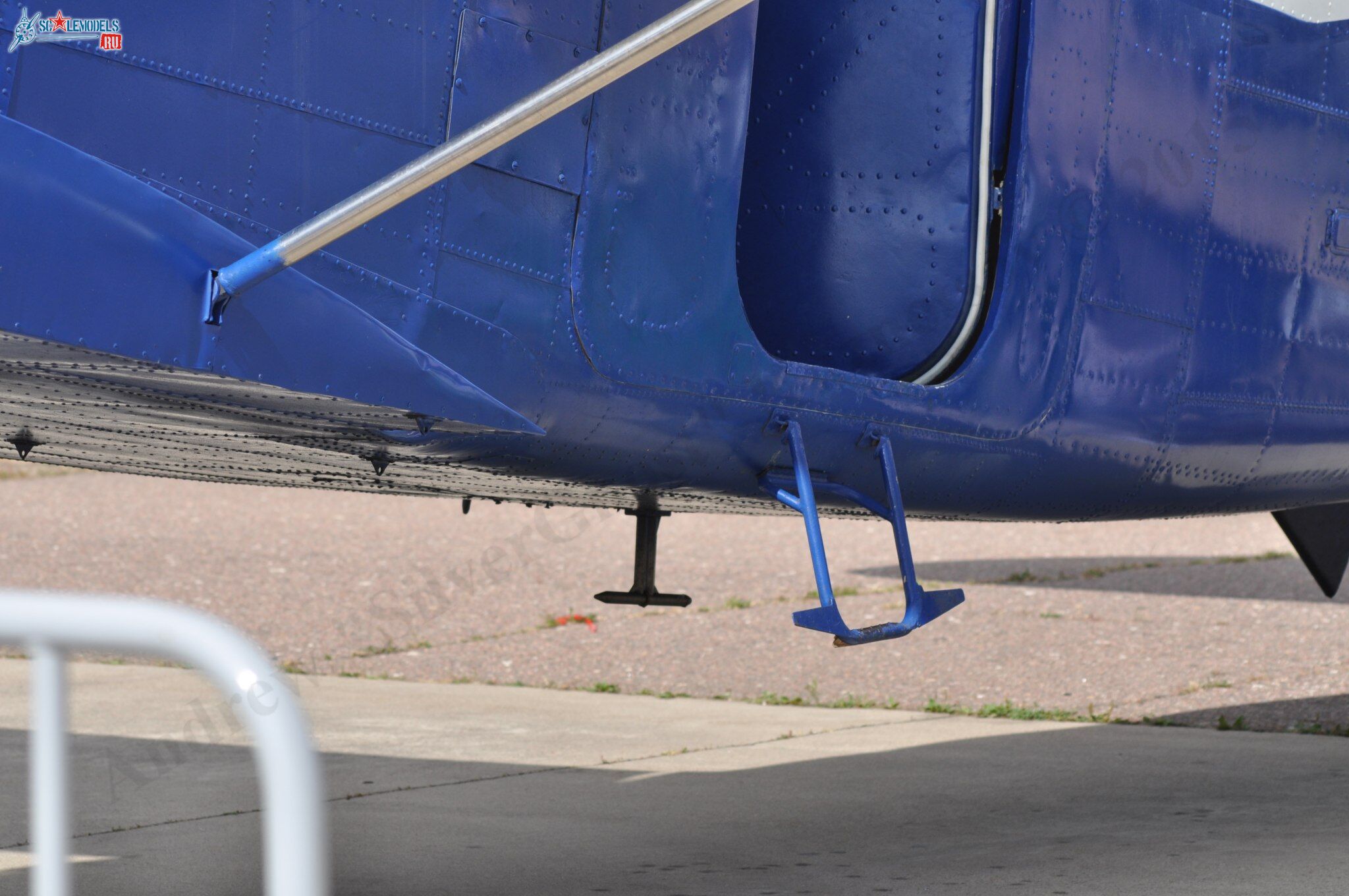 TR-301_RA-4072875.jpg