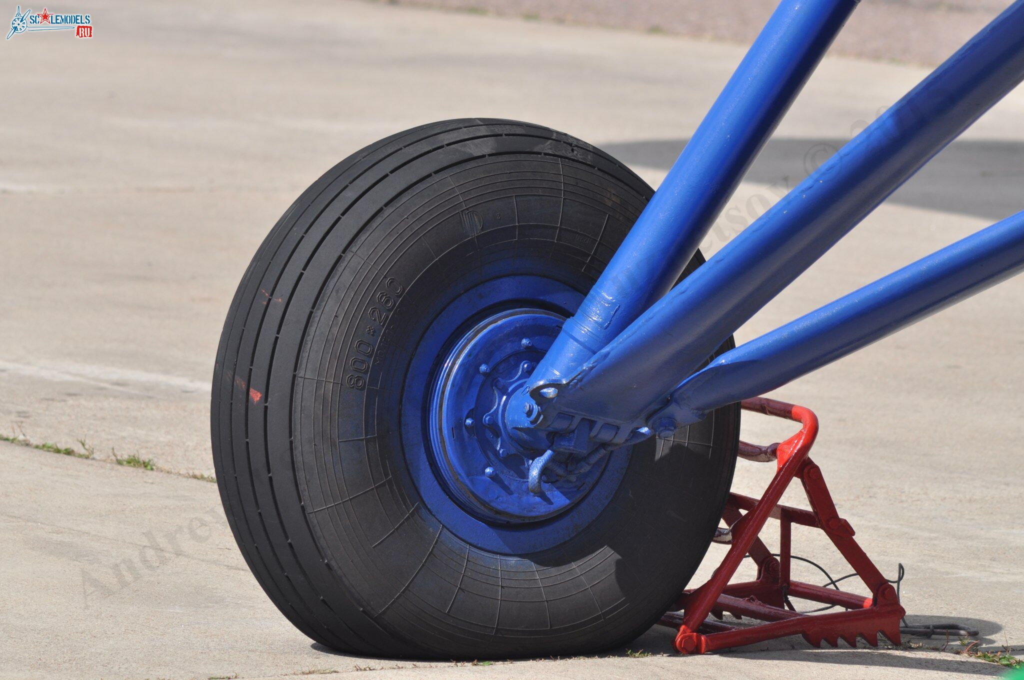 TR-301_RA-4072877.jpg