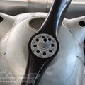 Resize of IMG_4542wtmk.JPG