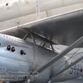 Resize of IMG_4545wtmk.JPG