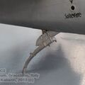 Resize of IMG_4572wtmk.JPG