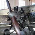 Resize of IMG_5774wtmk.JPG