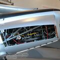 Resize of IMG_5813wtmk.JPG