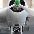 Resize of IMG_4779wtmk.JPG