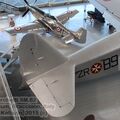 Resize of IMG_4967wtmk.JPG