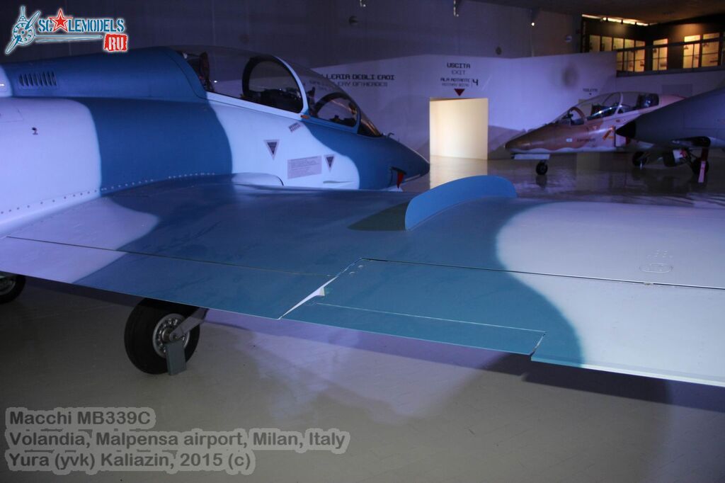 Resize of IMG_5891wtmk.JPG