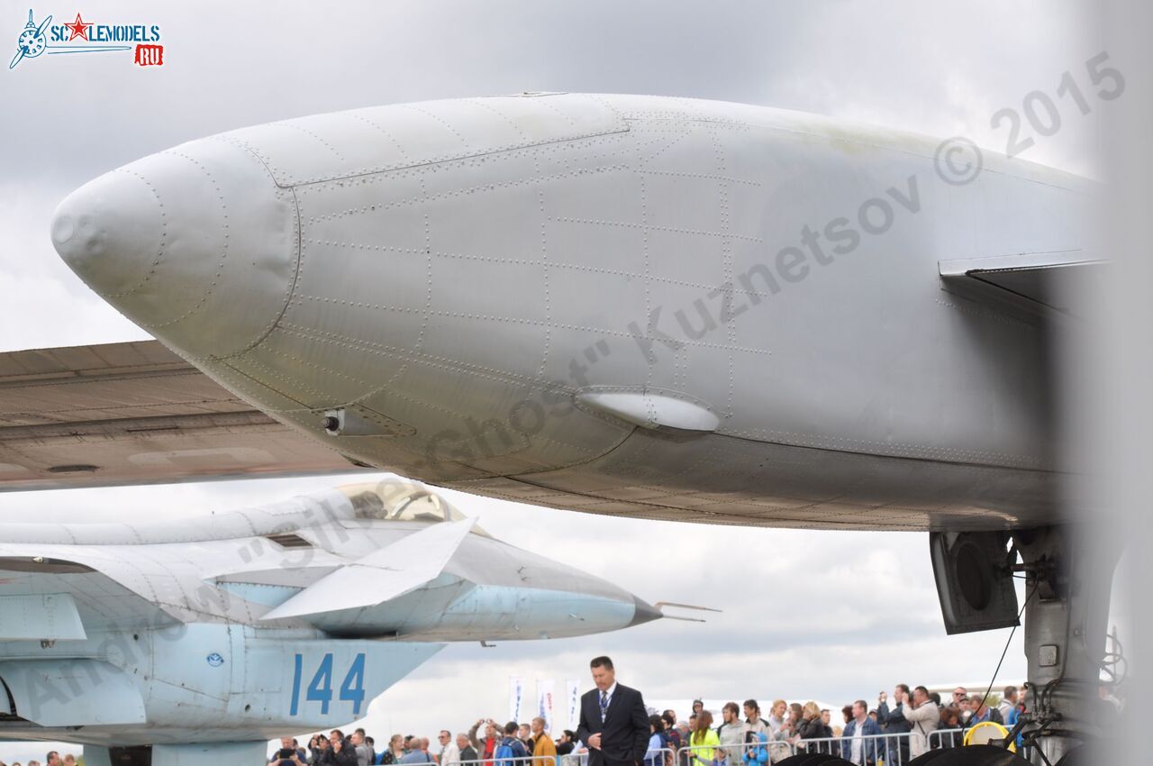 Tu-155_198.jpg