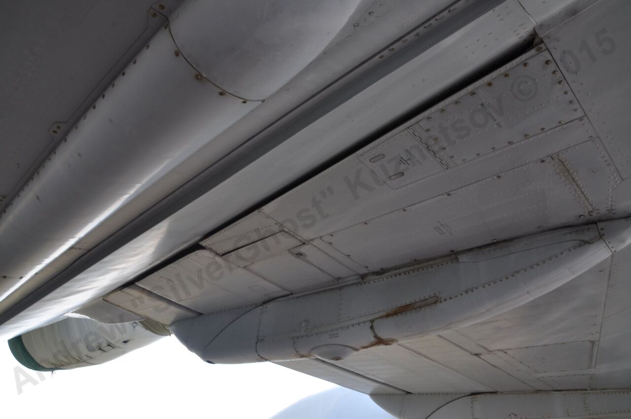 Tu-155_446.jpg