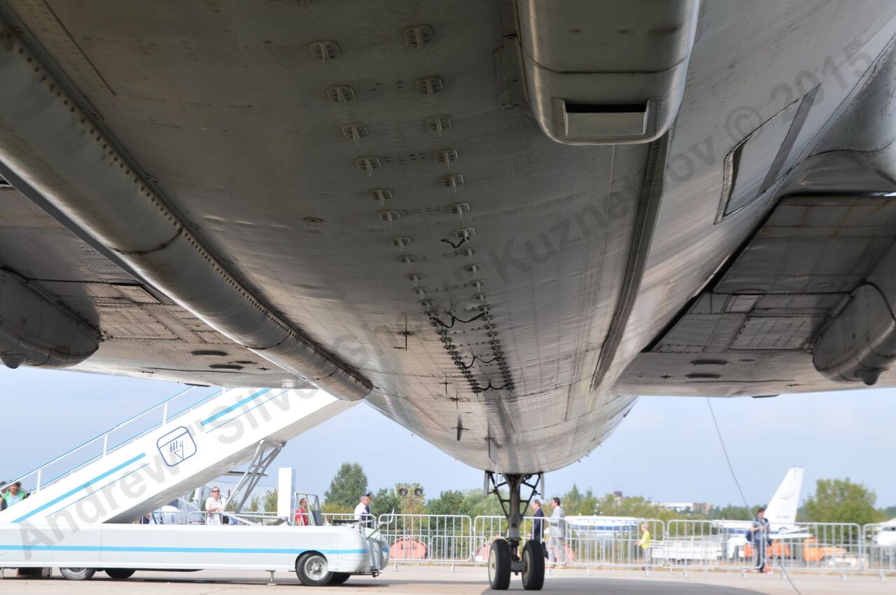 Tu-155_491.jpg