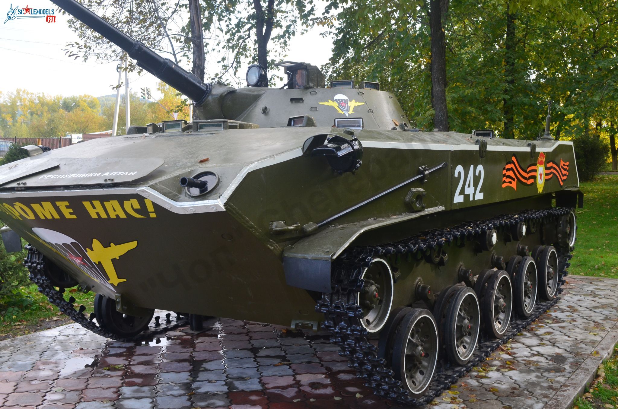 BMD-1_45.jpg