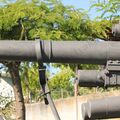 gun_25.jpg