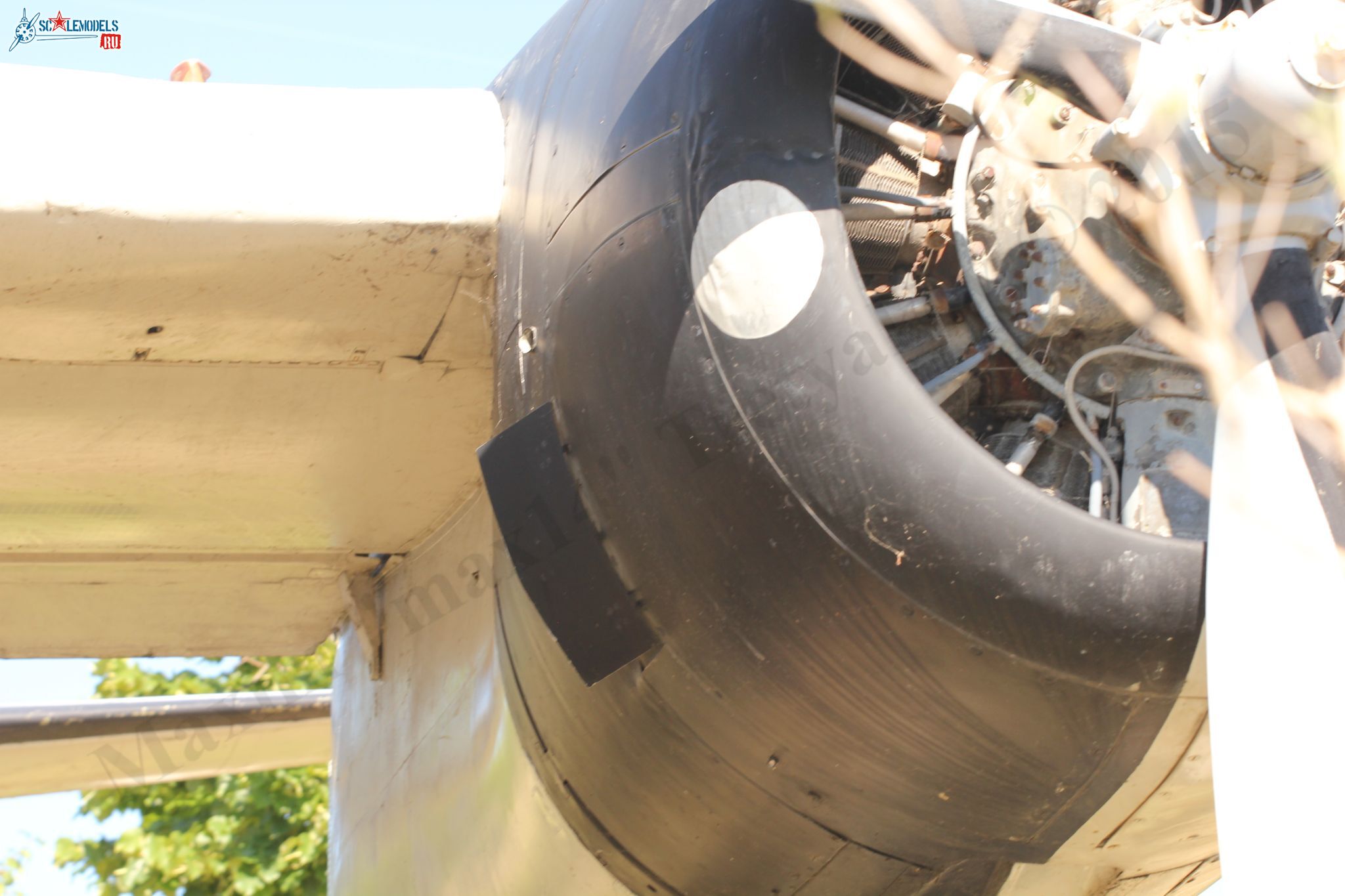 Grumman_S-2F_Tracker_96.jpg