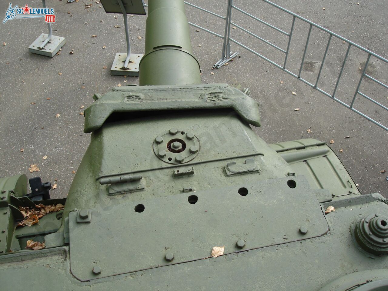 76.jpg