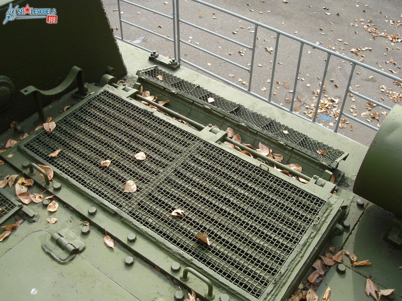 97.jpg