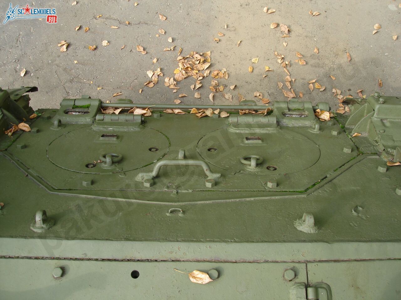 104.jpg